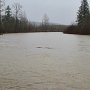 Snoqualmie River (looking east) on the west side of Mill Pond Road.